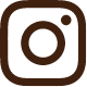 Instagram Icon